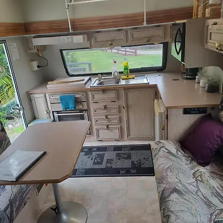 Koru Beachfront Holiday Cabins & Hot Tub Barrytown Exterior foto