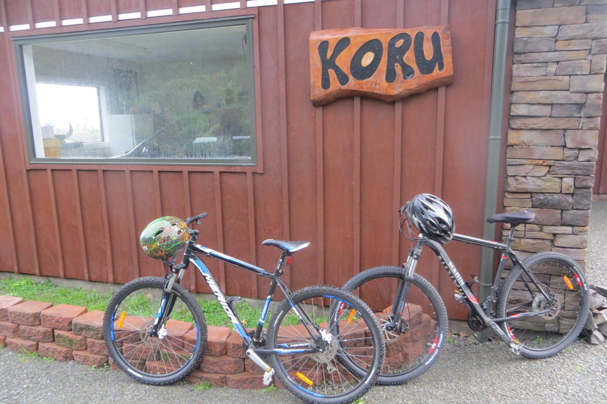 Privatunterkunft Koru Beachfront Holiday Cabins & Hot Tub